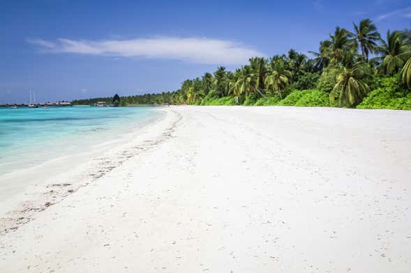 Excursão a Villimale